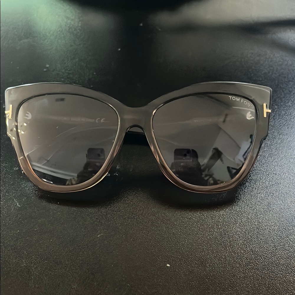 Tom Ford Anoushka Sunglasses Modern Design